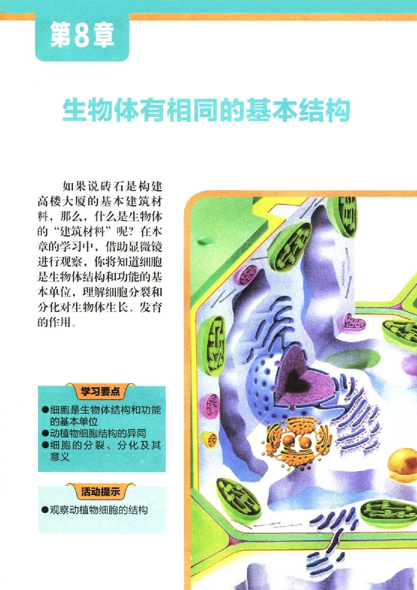 苏科版苏科版七年级生物下册