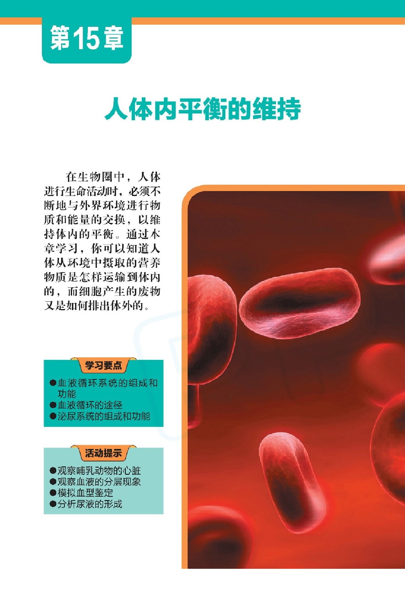 苏科版苏科版八年级生物上册