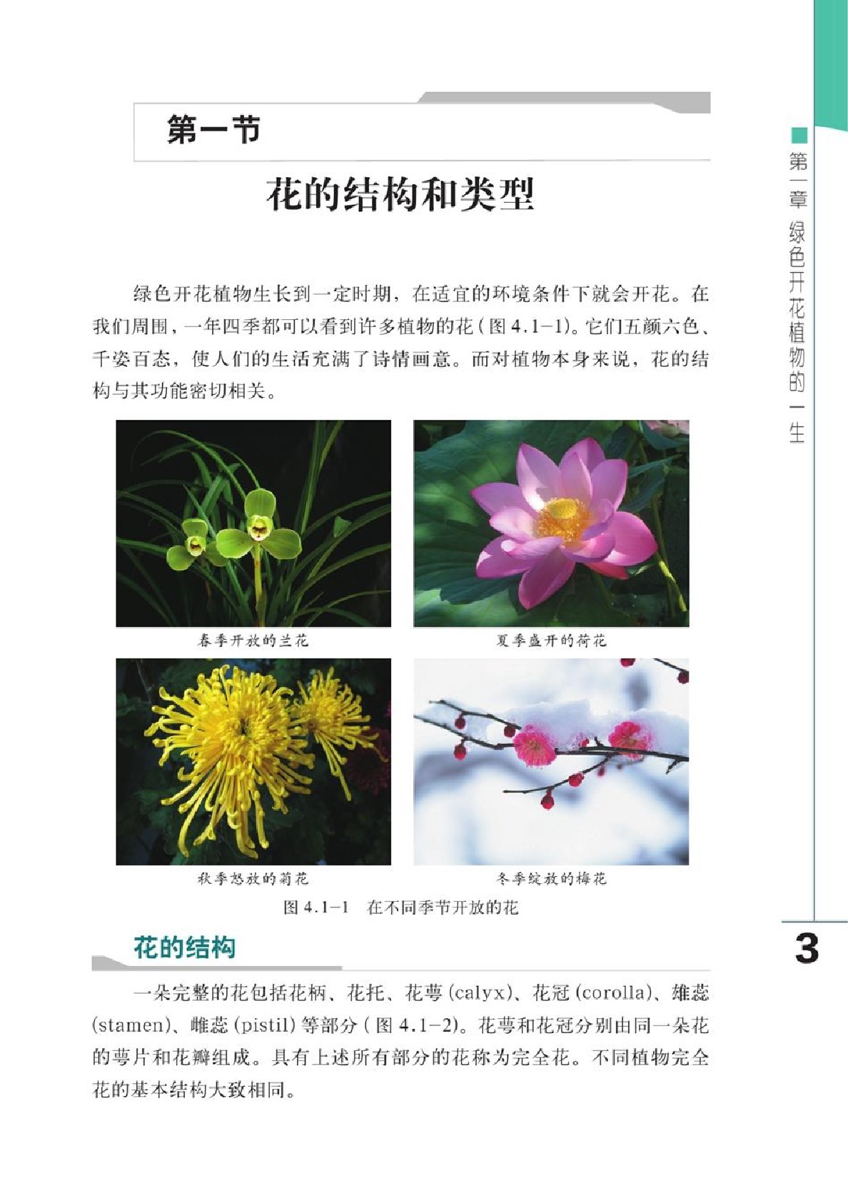 鲁教版济南版八年级生物上册