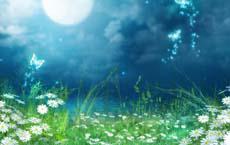 非常真人的生活幽默